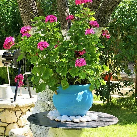 Grammatoula Apart-hotel 3*