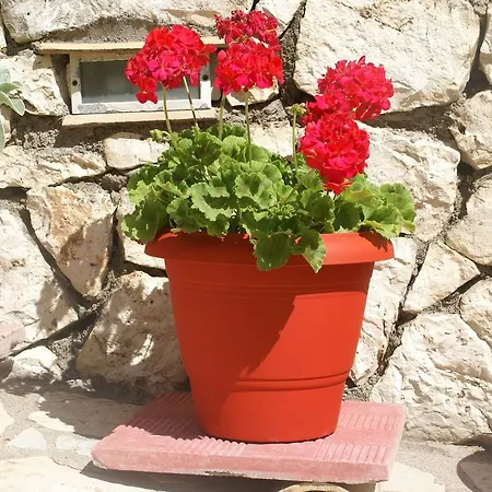 Aparthotel Grammatoula 3*