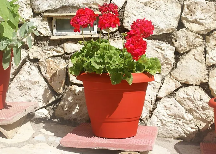 Apartahotel Grammatoula 3*