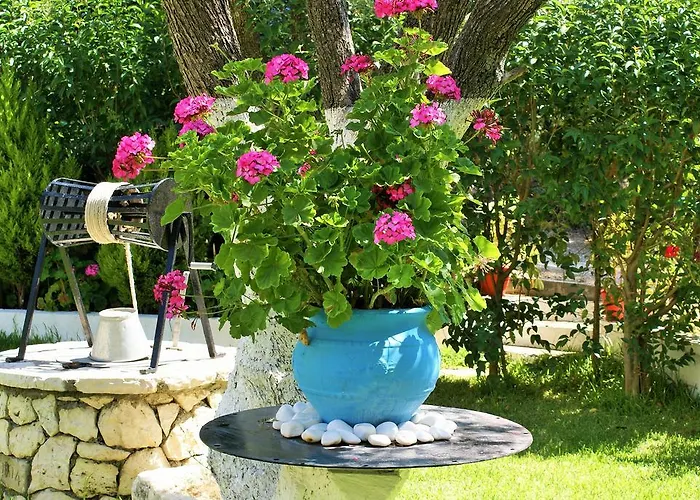 Grammatoula アパートホテル 3*